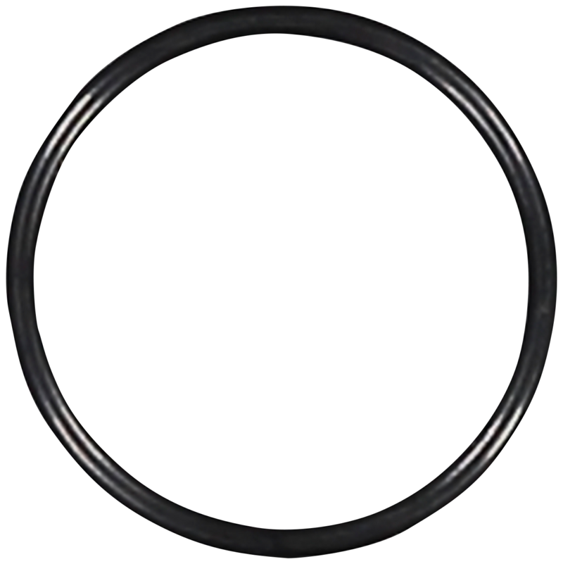 O-RING R06-0202 TILL SLANG SUNDSTRÖM